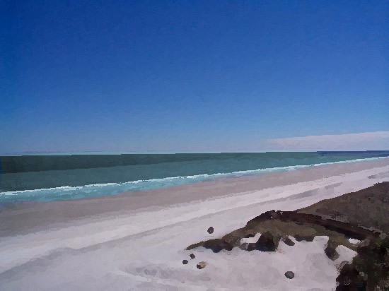 Illustrations: Jacksonville Beach